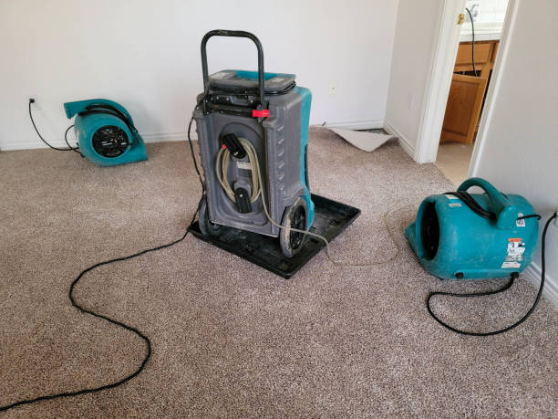 Best Professional water damage repair  in Glenpool, OK