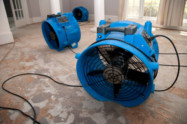 Best Water damage restoration services  in Glenpool, OK